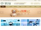 我们在抖音生态内为内容创作者提供优质