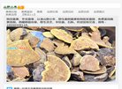 站点导航