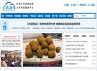 交通运输新闻网
