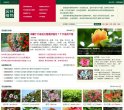 关于站长安博最新app新人权益