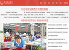 网站类型