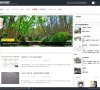 网站信息