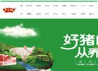 "综合其他"下的所有分类：