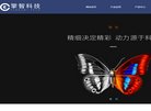 总排名