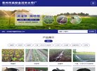 "体育健身"下的所有分类：