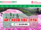 主页 > 地区网站排名 > 山东排名
