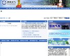 网站类型