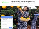 版权声明