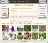 "网络科技"下的所有分类：