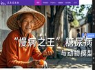 关于站长安博anbo新人权益