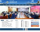网站类型