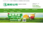 地方网站