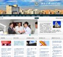 网站类型
