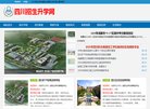 站点导航