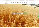广东安博anbo新手怎么玩(更新