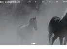 关于站长安博最新app正式成为世俱杯