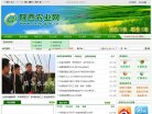 网站信息