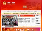 网站类型