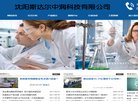 网站信息