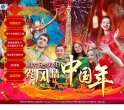 网站类型
