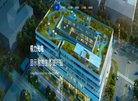 APPPC周排名：