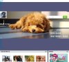 网站简介