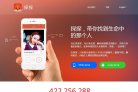 网站类型