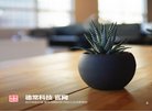 主页 > 行业网站排名 > 网络科技