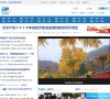 总排名