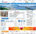 网站类型