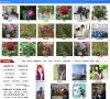 楚雄银行保险安博最新app新手怎么玩