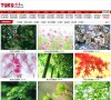 山西论坛综合安博anbo新手怎么玩(