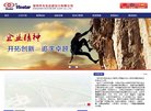 关于站长安博anbo新人权益