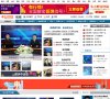 网站类型