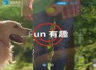 主页 > 行业网站排名 > 生活服务