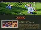 "网络科技"下的所有分类：