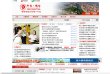 网站简介