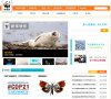主页 > 行业网站排名 > 综合其他