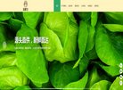 站点导航