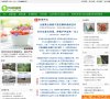 网站信息