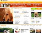 版权声明
