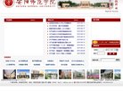 "行业企业"下的所有分类：