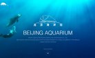 关于站长安博最新app新手怎么玩