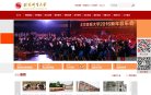 "综合其他"下的所有分类：