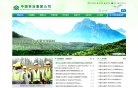 APPPC周排名