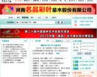 版权声明