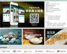"休闲娱乐"下的所有分类