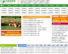 站点导航