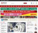 版权声明