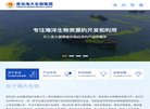 网站信息
